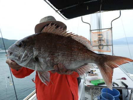 Fisherman Dreams DI 釣果