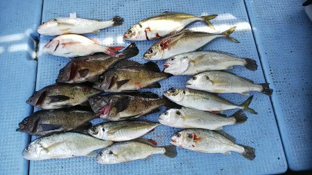 第二常豊丸 釣果