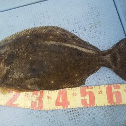 第二常豊丸 釣果