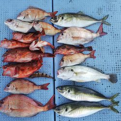 第二常豊丸 釣果