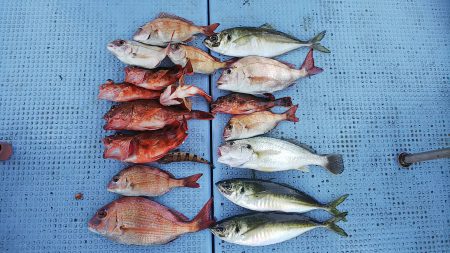 第二常豊丸 釣果