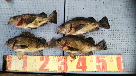 第二常豊丸 釣果