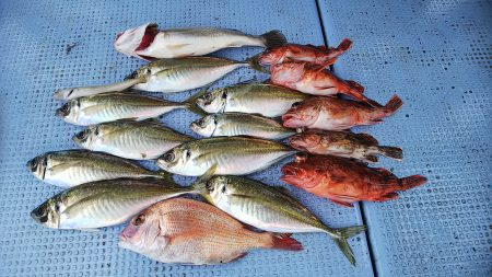 第二常豊丸 釣果