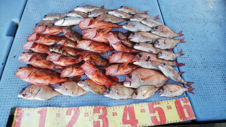 第二常豊丸 釣果