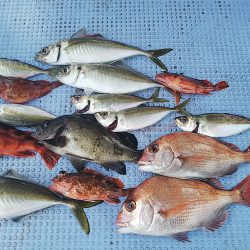 第二常豊丸 釣果