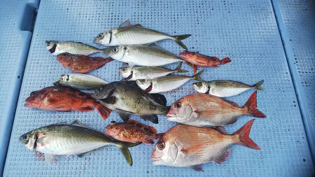 第二常豊丸 釣果