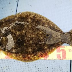 第二常豊丸 釣果