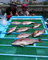 和歌山マリーナシティ釣り堀 釣果
