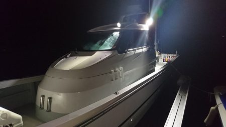 フィッシングボートACE(エース) 釣果