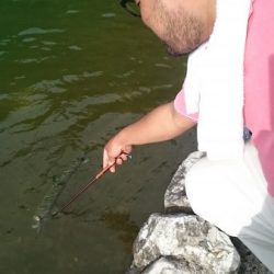 フィッシングエリア帝釈 釣果