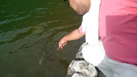 フィッシングエリア帝釈 釣果