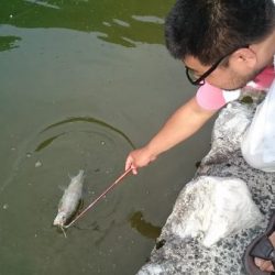 フィッシングエリア帝釈 釣果