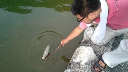 フィッシングエリア帝釈 釣果