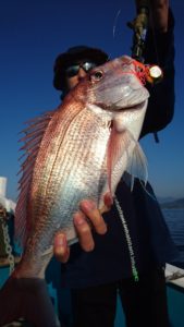 愛海丸 釣果
