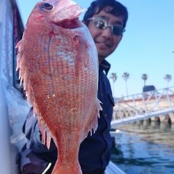 フィッシングボートACE(エース) 釣果