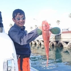 フィッシングボートACE(エース) 釣果