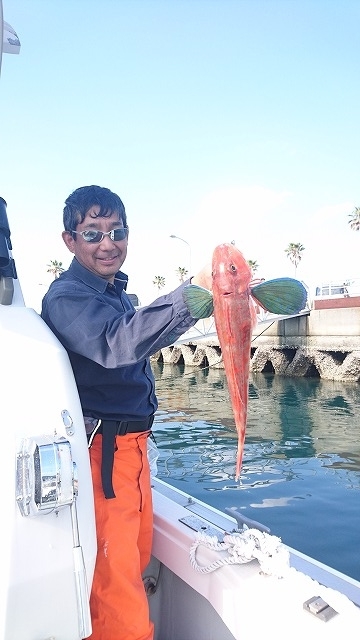 フィッシングボートACE(エース) 釣果