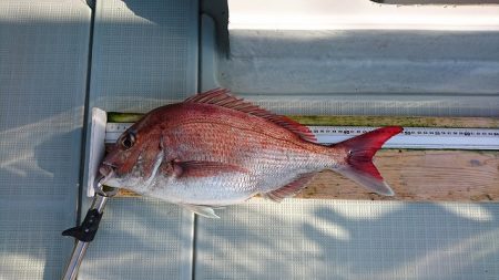 フィッシングボートACE(エース) 釣果