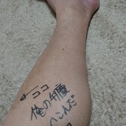 フィッシングボートACE(エース) 釣果