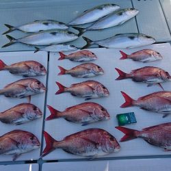 フィッシングボートACE(エース) 釣果