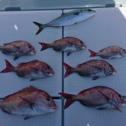 フィッシングボートACE（エース） 釣果