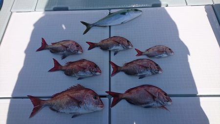 フィッシングボートACE（エース） 釣果