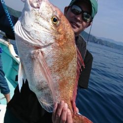 シードリーム 釣果