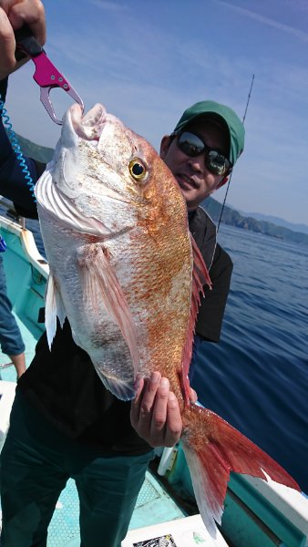 シードリーム 釣果