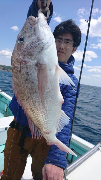 シードリーム 釣果