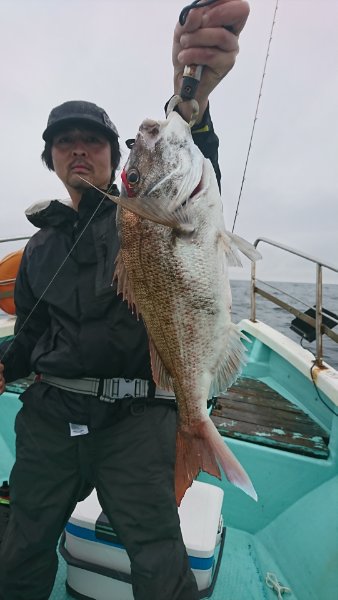 シードリーム 釣果