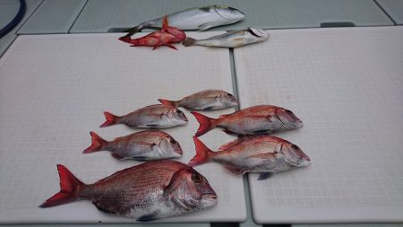 フィッシングボートACE（エース） 釣果