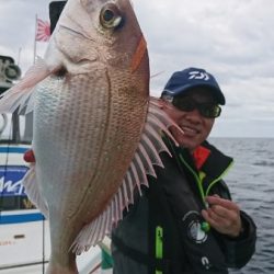 シードリーム 釣果