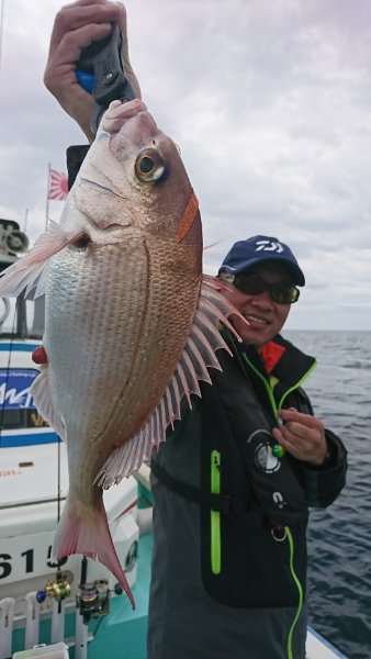 シードリーム 釣果
