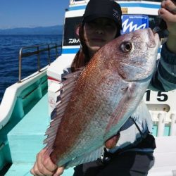 シードリーム 釣果