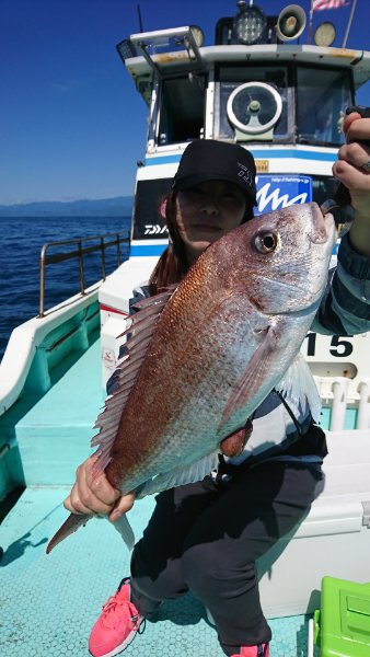 シードリーム 釣果