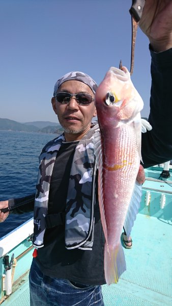 シードリーム 釣果