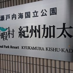 フィッシングボートACE(エース) 釣果