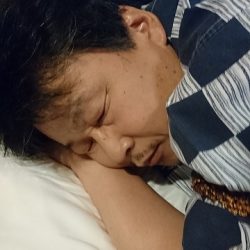 フィッシングボートACE(エース) 釣果