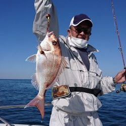 フィッシングボートACE(エース) 釣果