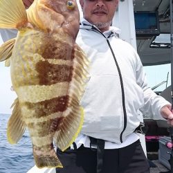 フィッシングボートACE(エース) 釣果