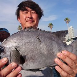 フィッシングボートACE(エース) 釣果