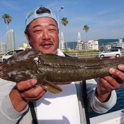 フィッシングボートACE(エース) 釣果