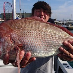 フィッシングボートACE(エース) 釣果