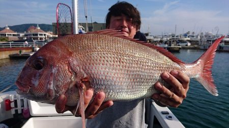 フィッシングボートACE(エース) 釣果