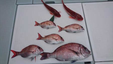 フィッシングボートACE(エース) 釣果