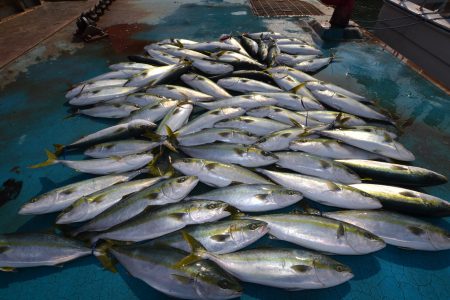 アジアマリンサービス 釣果