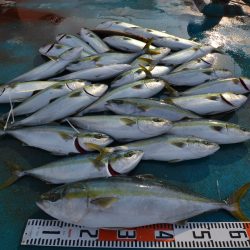 アジアマリンサービス 釣果