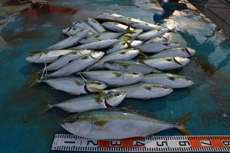 アジアマリンサービス 釣果