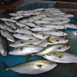 アジアマリンサービス 釣果