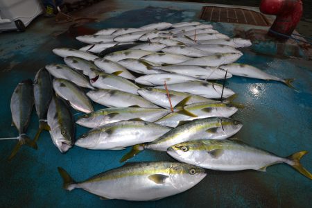 アジアマリンサービス 釣果
